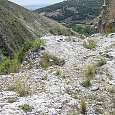 Mirador 