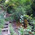Subimos por las escaleras de la Caverne des Géants -una surgencia de aguas termales- 