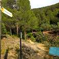 Vista atrás al sendero del que venimos en el regreso 