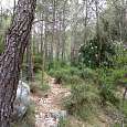 Camino del barranco 