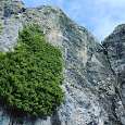 Parte superior de la vía ferrata en la zona del péndulo © Ayuntamiento de Miraveche 