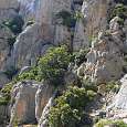 Paredes frontales de la sierra de Montsant 
