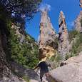 Estilizadas agujas en el barranco de la Pardina 