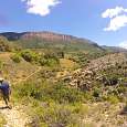 De bajada en busca del barranco de la Pardina 