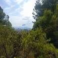 Vistas al Puig Campana desde el regreso 