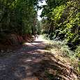 Avanzamos por una pista ancha 
