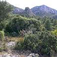 El Tormo de la Margarida visto desde Tivissa 