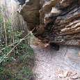 Caminamos por debajo de estas viseras naturales 