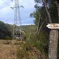 Una vez en la torre pasamos por su izquierda hacia el bosque -indicadores el Solell per al torrent- 