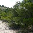 Seguimos hacia arriba en busca del collado 