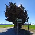 Enlace de caminos (incluido el GR-97-3) -al fondo vemos Can Cònsol- 