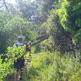Algunos caminos pueden estar algo cortados por árboles caídos en antiguas tormentas 