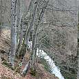 La Cascada de Magenta 