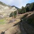 Cerca de Canillo con vistas a las paredes del Roc de Quer 