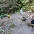 Bajamos por el bosque con sendero algo descompuesto a veces 
