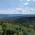 Vistas de los bosques de los alrededores -100% Selva Negra- 