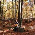 Fageda d en Jordà 