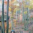 Bajando por el bosque en dirección a Hrensko 