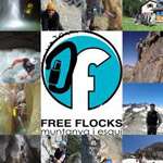 Free Flocks
